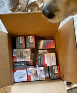Pokemon overstock pallets