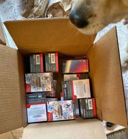 Pokemon overstock pallets